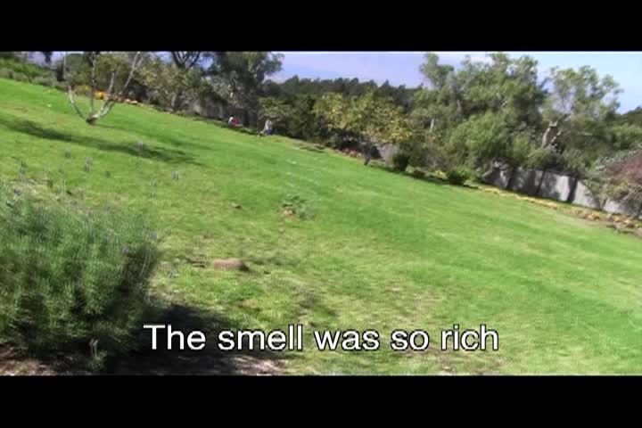 Thumbnail image for Around the Garden with Jimmy K- Maui 2/20/26