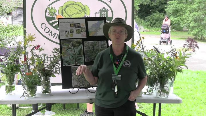 Thumbnail image for Monarch Butterfly Day - Fran Raleigh  ,  The Bee Guy -Master Gardener ,September 2026